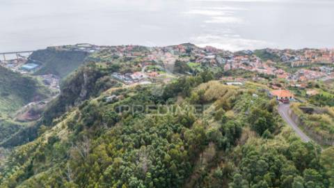 Terreno com ruina no caniço ilha da madeira