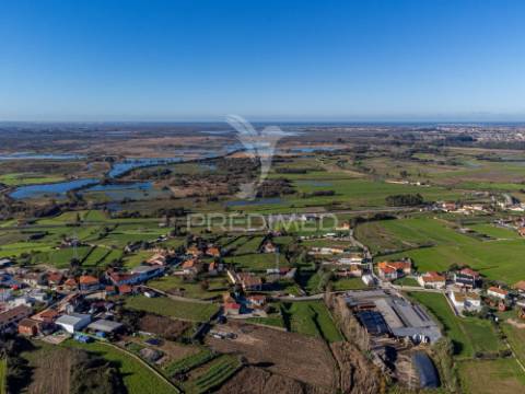 Moradia t3+1 térrea com jardim e área exterior