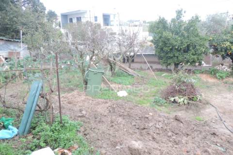 Lote terreno p/ construção - toledo / vimeiro