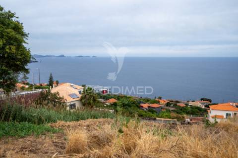 Terreno rustico para construção / área total 1.300m2 / índice de 0,5