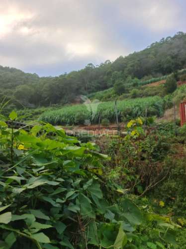 Terreno com 21 500,00 m2 à venda em caniçal