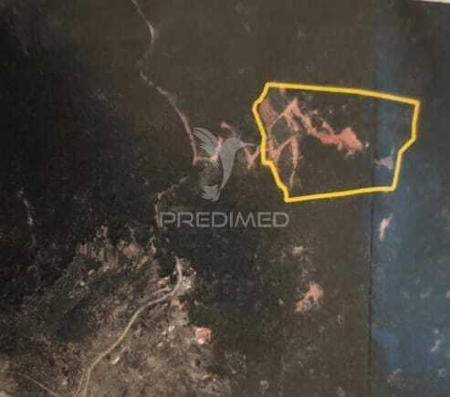 Terreno com 21 500,00 m2 à venda em caniçal