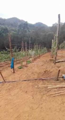 Terreno com 21 500,00 m2 à venda em caniçal