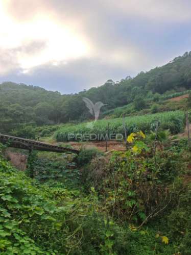Terreno com 21 500,00 m2 à venda em caniçal