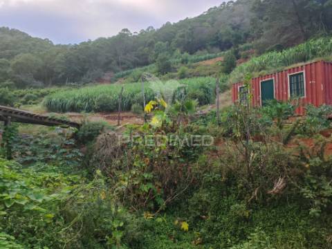 Terreno com 21 500,00 m2 à venda em caniçal