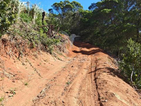 Terreno com 21 500,00 m2 à venda em caniçal