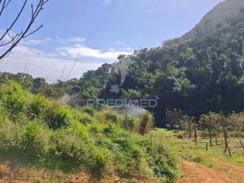 Terreno com 21 500,00 m2 à venda em caniçal