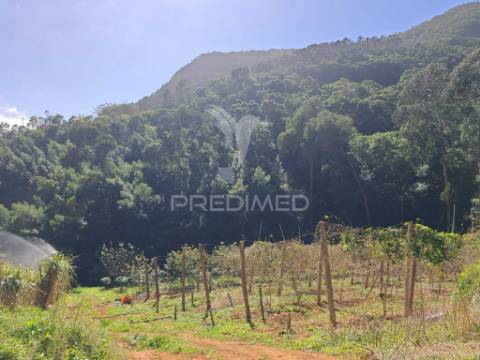 Terreno com 21 500,00 m2 à venda em caniçal