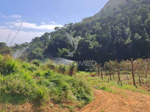 Terreno com 21 500,00 m2 à venda em caniçal