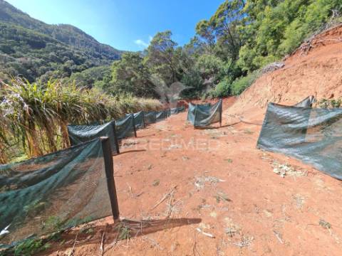 Terreno com 21 500,00 m2 à venda em caniçal
