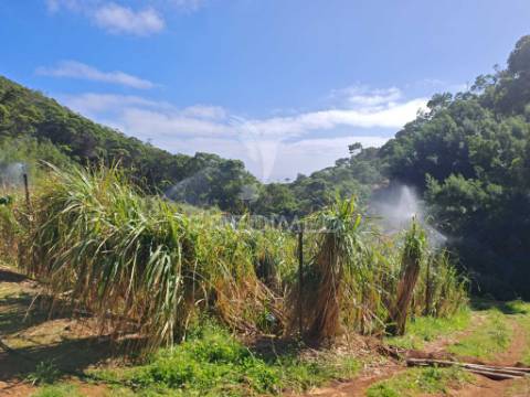 Terreno com 21 500,00 m2 à venda em caniçal