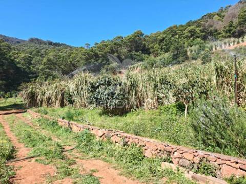 Terreno com 21 500,00 m2 à venda em caniçal