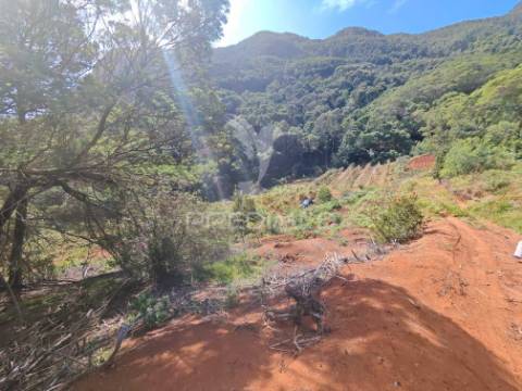 Terreno com 21 500,00 m2 à venda em caniçal