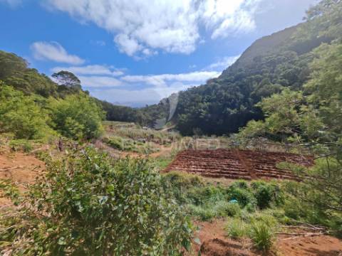 Terreno com 21 500,00 m2 à venda em caniçal