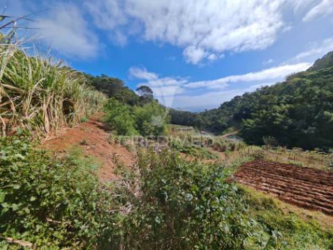 Terreno com 21 500,00 m2 à venda em caniçal