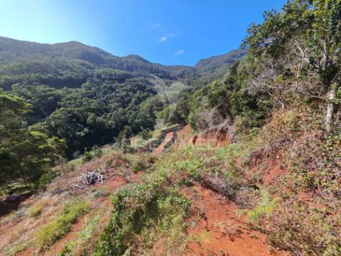 Terreno com 21 500,00 m2 à venda em caniçal