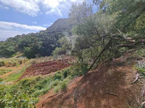 Terreno com 21 500,00 m2 à venda em caniçal