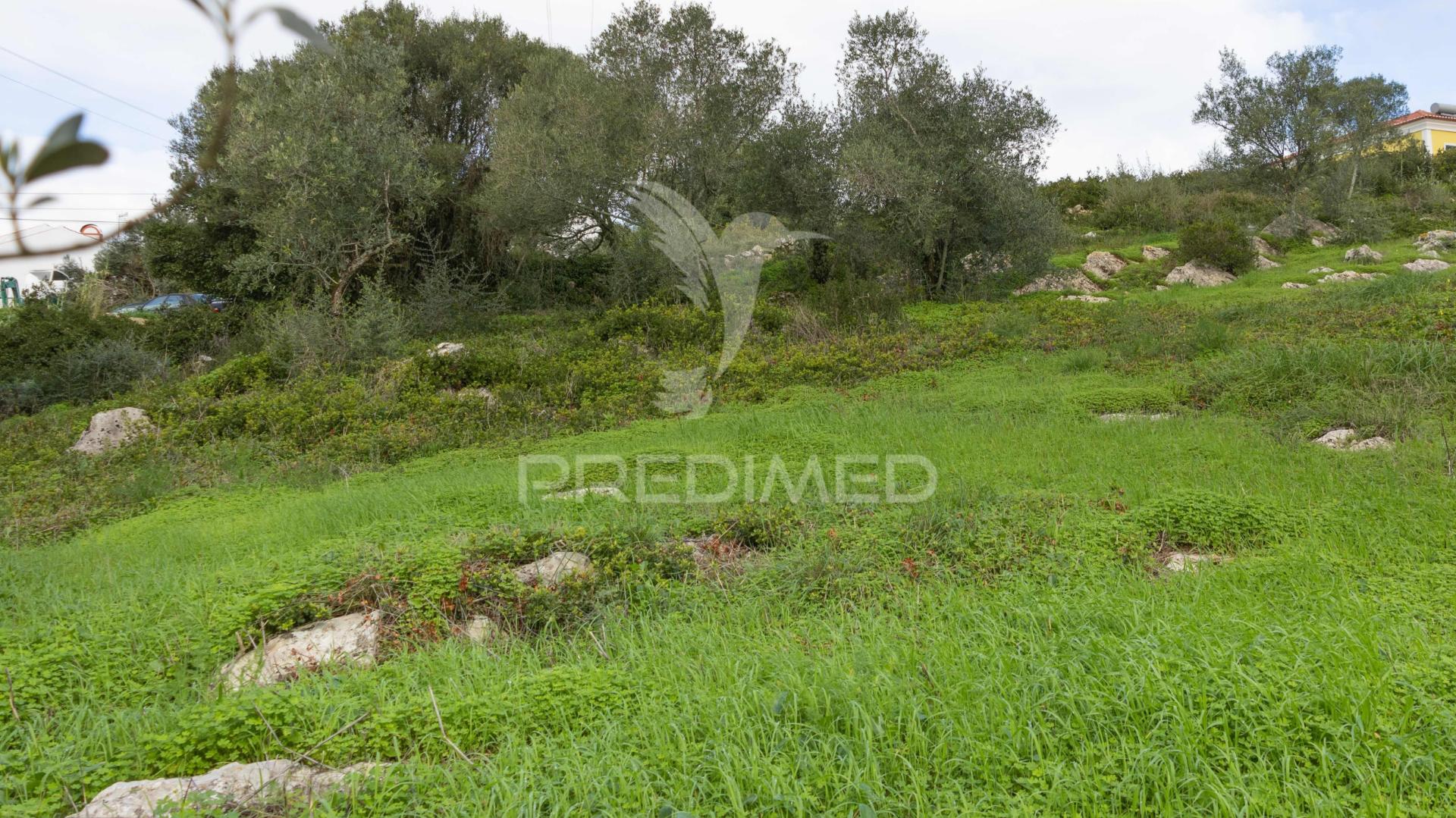Venda terreno manique de cima - sintra