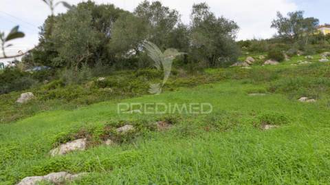 Venda terreno manique de cima - sintra