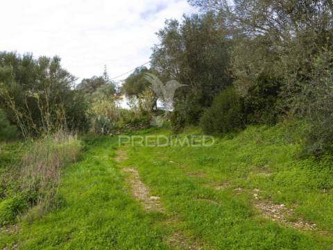 Venda terreno manique de cima - sintra