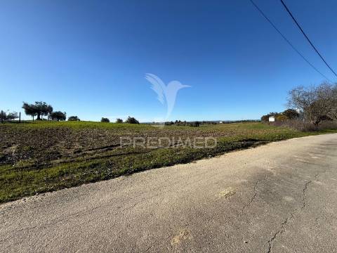 Oportunidade única no ribatejo armazém agrícola para restaurar | ~3 hectares | ponte nova – casével – santarém