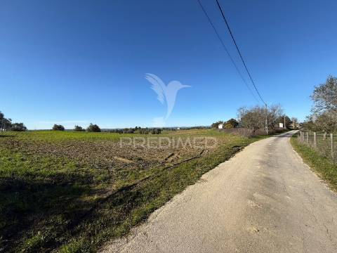 Oportunidade única no ribatejo armazém agrícola para restaurar | ~3 hectares | ponte nova – casével – santarém