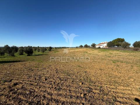 Oportunidade única no ribatejo armazém agrícola para restaurar | ~3 hectares | ponte nova – casével – santarém