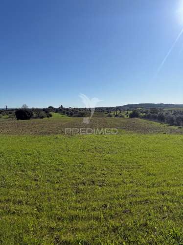 Oportunidade única no ribatejo armazém agrícola para restaurar | ~3 hectares | ponte nova – casével – santarém