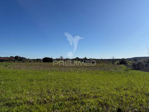Oportunidade única no ribatejo armazém agrícola para restaurar | ~3 hectares | ponte nova – casével – santarém