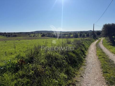 Oportunidade única no ribatejo armazém agrícola para restaurar | ~3 hectares | ponte nova – casével – santarém