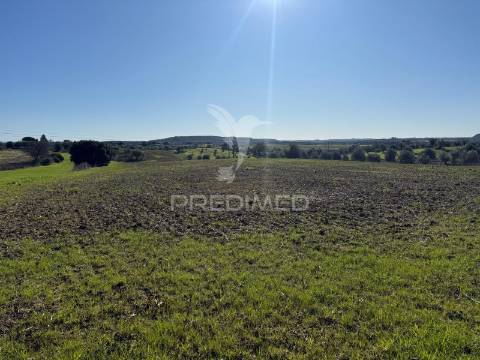 Oportunidade única no ribatejo armazém agrícola para restaurar | ~3 hectares | ponte nova – casével – santarém