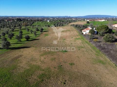 Oportunidade única no ribatejo armazém agrícola para restaurar | ~3 hectares | ponte nova – casével – santarém