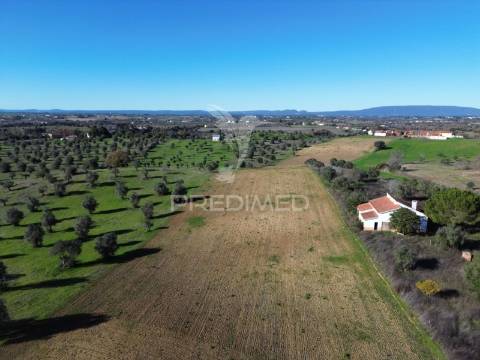 Oportunidade única no ribatejo armazém agrícola para restaurar | ~3 hectares | ponte nova – casével – santarém