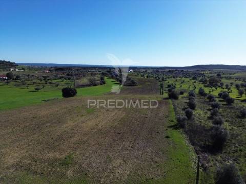 Oportunidade única no ribatejo armazém agrícola para restaurar | ~3 hectares | ponte nova – casével – santarém