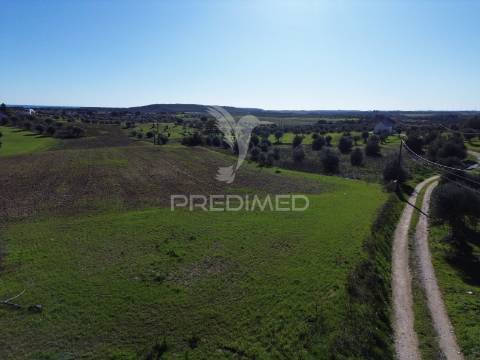 Oportunidade única no ribatejo armazém agrícola para restaurar | ~3 hectares | ponte nova – casével – santarém