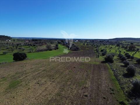 Oportunidade única no ribatejo armazém agrícola para restaurar | ~3 hectares | ponte nova – casével – santarém