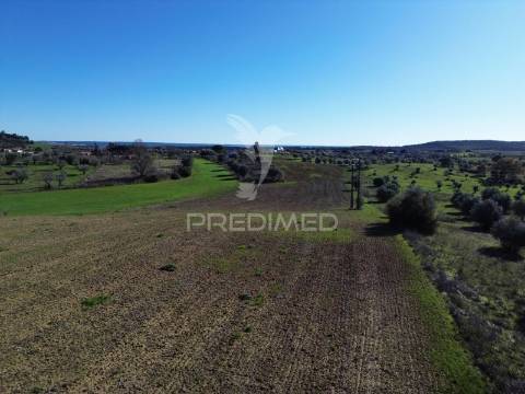 Oportunidade única no ribatejo armazém agrícola para restaurar | ~3 hectares | ponte nova – casével – santarém