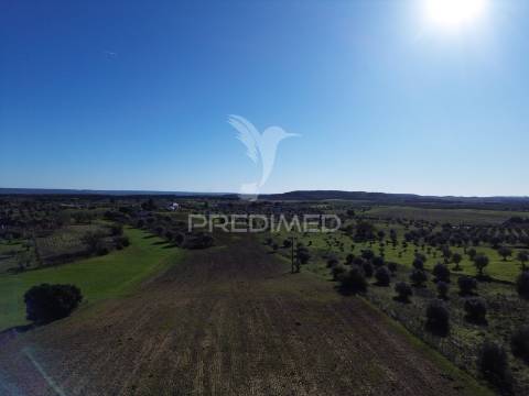 Oportunidade única no ribatejo armazém agrícola para restaurar | ~3 hectares | ponte nova – casével – santarém