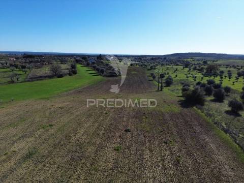 Oportunidade única no ribatejo armazém agrícola para restaurar | ~3 hectares | ponte nova – casével – santarém