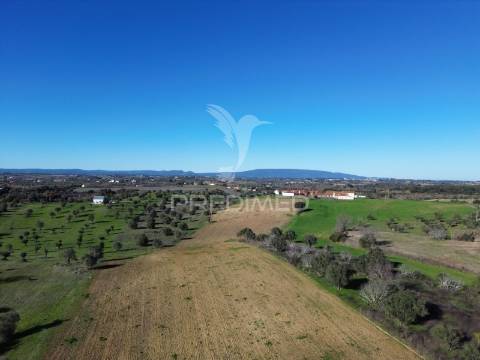 Oportunidade única no ribatejo armazém agrícola para restaurar | ~3 hectares | ponte nova – casével – santarém