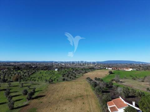 Oportunidade única no ribatejo armazém agrícola para restaurar | ~3 hectares | ponte nova – casével – santarém