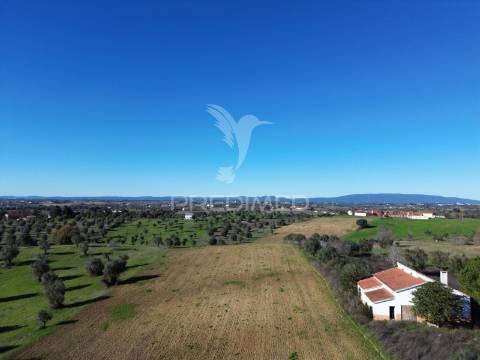 Oportunidade única no ribatejo armazém agrícola para restaurar | ~3 hectares | ponte nova – casével – santarém