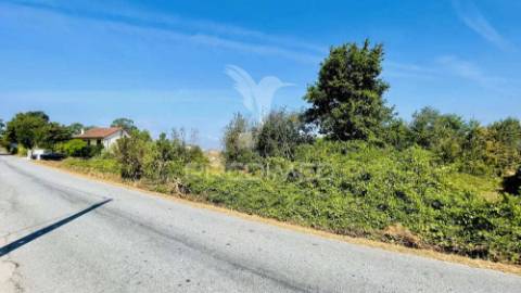 Pack 7 terrenos à venda | oportunidade única no centro de portugal