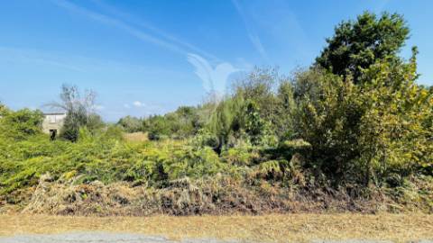 Pack 7 terrenos à venda | oportunidade única no centro de portugal