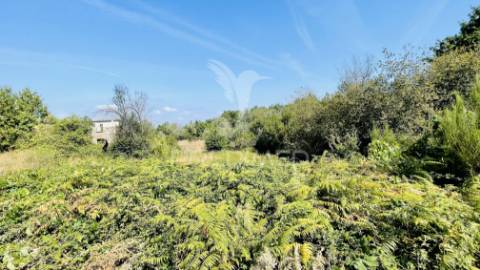 Pack 7 terrenos à venda | oportunidade única no centro de portugal