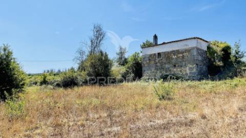Pack 7 terrenos à venda | oportunidade única no centro de portugal