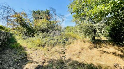 Pack 7 terrenos à venda | oportunidade única no centro de portugal