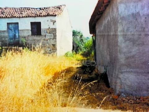 Pack 7 terrenos à venda | oportunidade única no centro de portugal