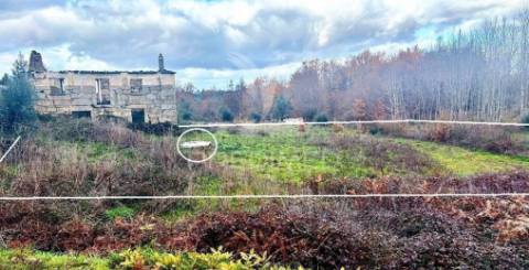 Oportunidade 7 terrenos para si