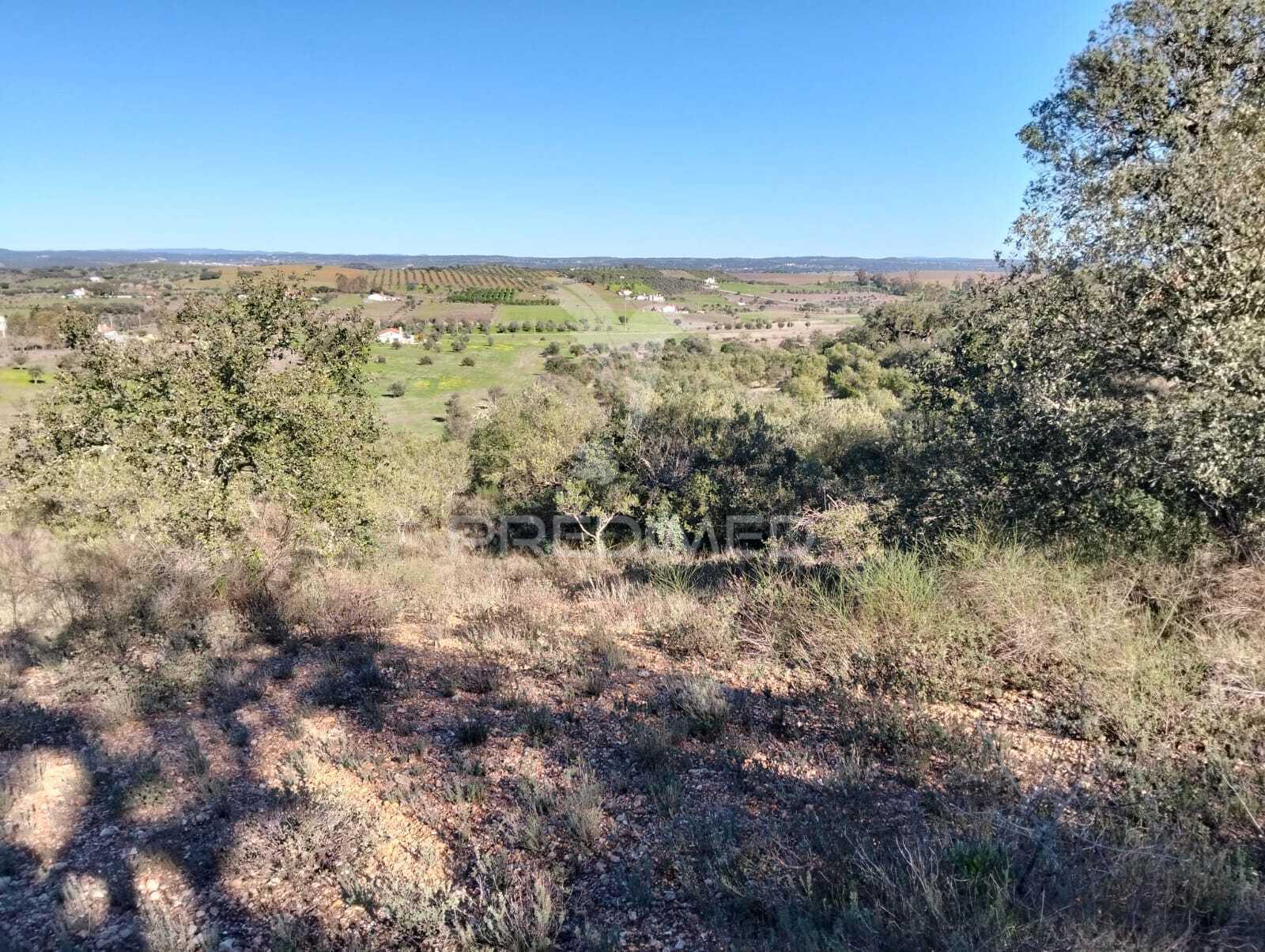 Terreno rustico com 1,425 hectares